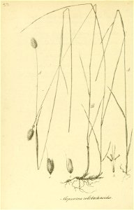 n209_w1150