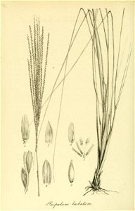 n465_w1150