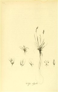 n397_w1150