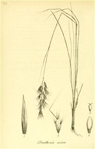 n269_w1150