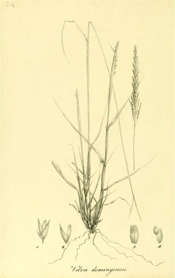 n139_w1150