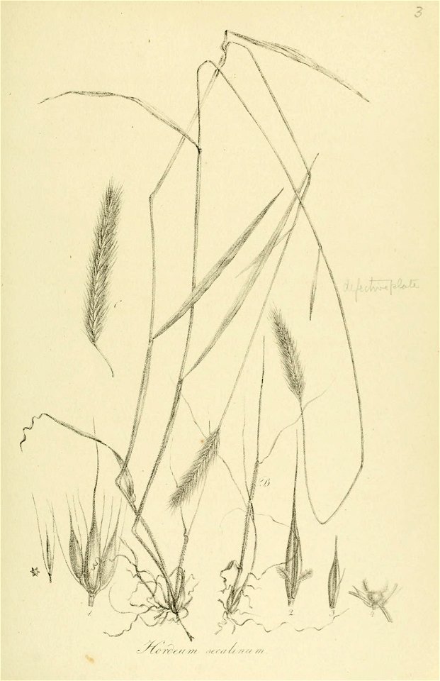 n34_w1150