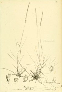 n82_w1150