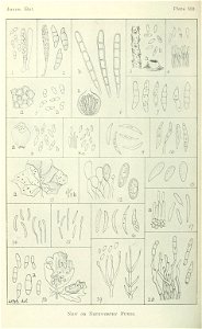 n353_w1150