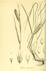 n393_w1150