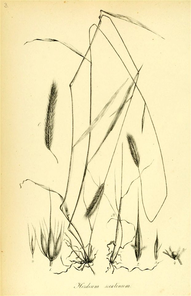n31_w1150
