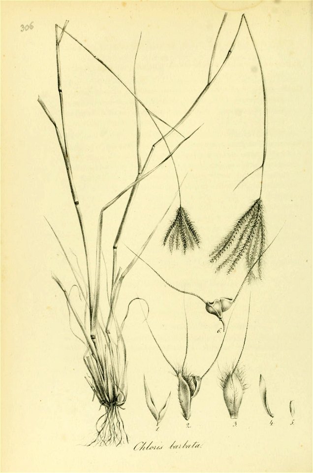 n293_w1150