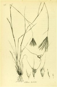 n293_w1150