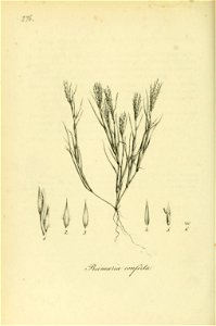 n163_w1150