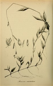 n423_w1150