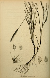 n359_w1150