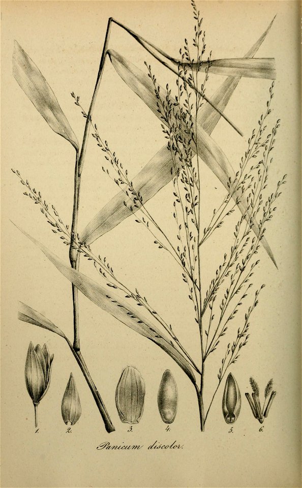n491_w1150