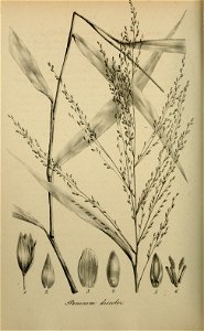 n491_w1150