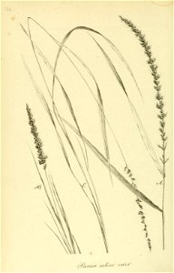 n453_w1150