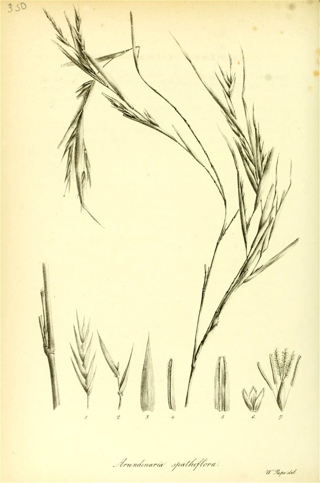 n485_w1150