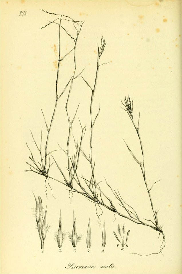 n159_w1150