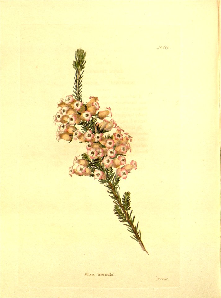 n141_w1150