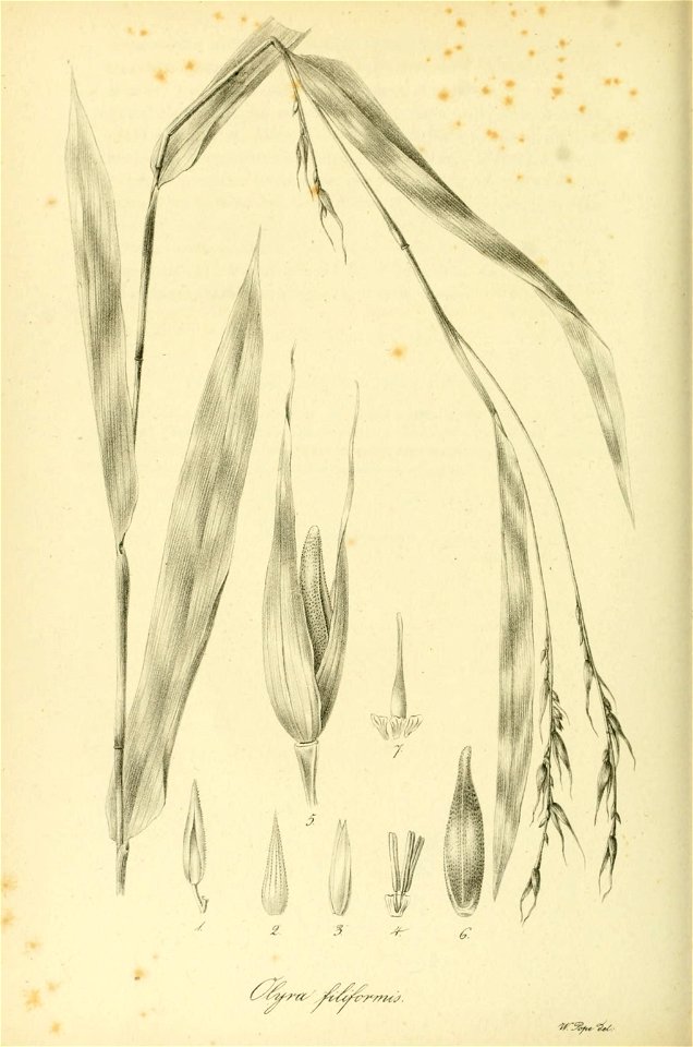 n457_w1150