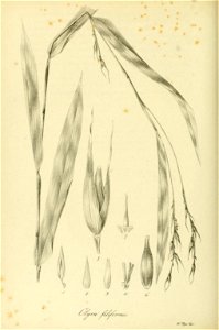n457_w1150