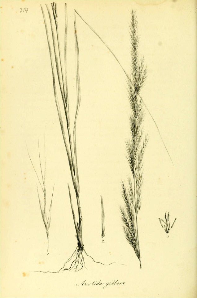n329_w1150