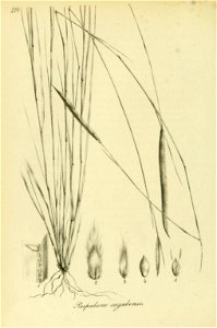 n199_w1150