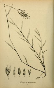 n459_w1150