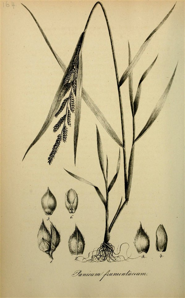n199_w1150