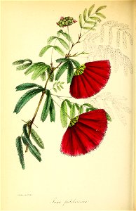 n217_w1150