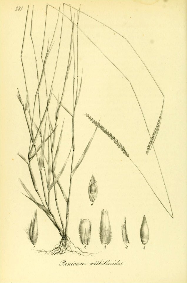 n187_w1150