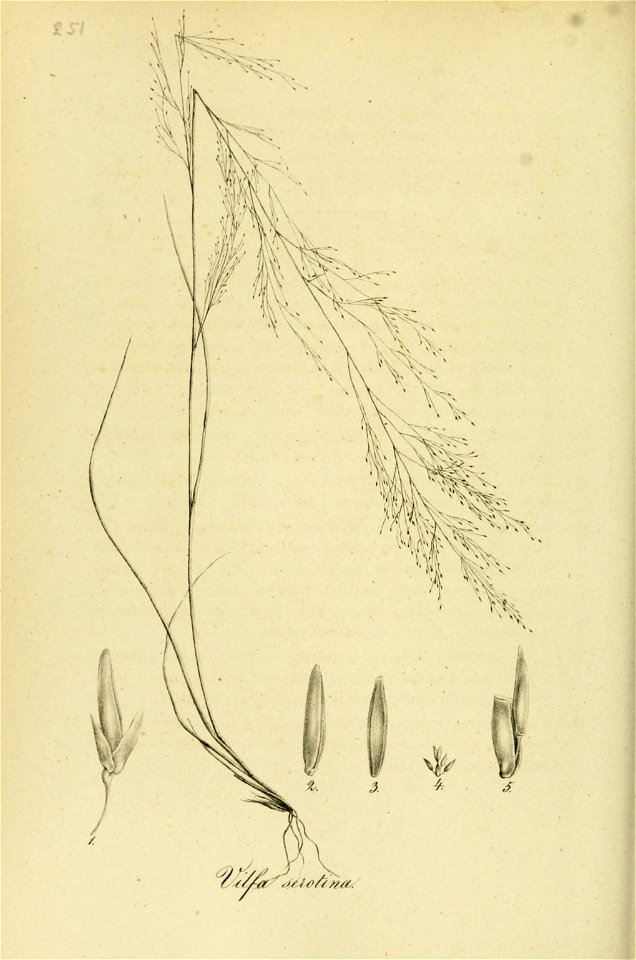 n55_w1150