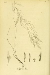 n55_w1150