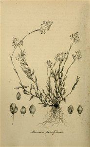 n511_w1150