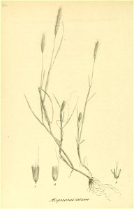 n217_w1150