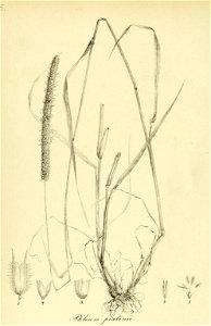 n43_w1150