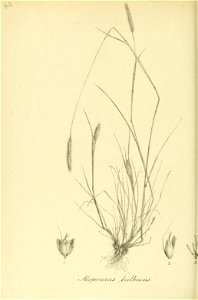 n213_w1150