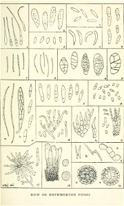 n174_w1150