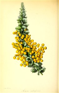 n185_w1150