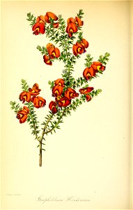 n161_w1150