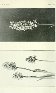 n45_w1150