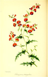 n113_w1150