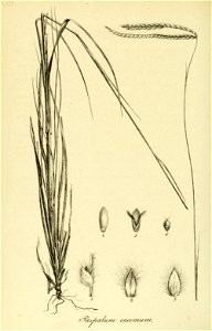 n517_w1150