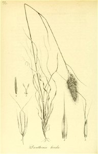 n257_w1150