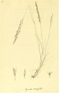 n189_w1150