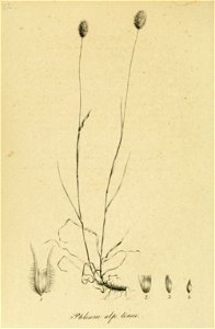 n129_w1150