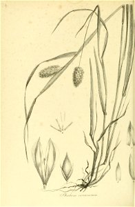 n361_w1150