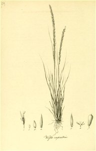 n293_w1150