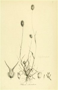 n54_w1150