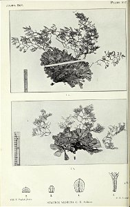 n121_w1150