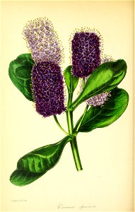 n353_w1150