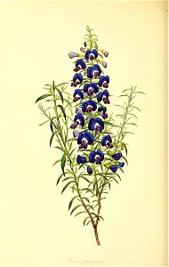 n155_w1150